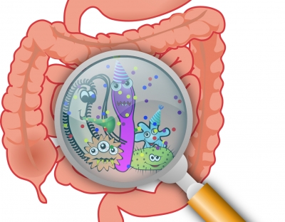 microbiome