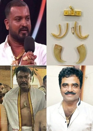 Tiger claw locket case: Searches at celebrities' residences; BJP MP under scanner