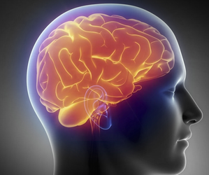 Photo for representation