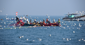 'Collective efforts of Afro-Asian countries needed to address challenges in fisheries and aquaculture'