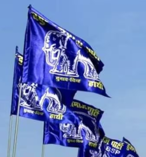 BSP cadres seek change in leadership for party's survival