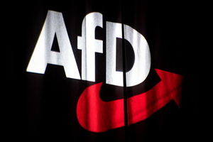Germany's far-right AfD wins first-ever state election (Representational Image)