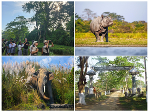 File photo of Kaziranga National Park