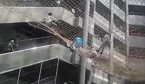 Quota for Dhangars: Maha tribal leaders jump from 3rd floor into Mantralaya’s safety net in protest