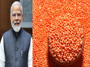 Rise in MSP of Rabi crops to make farmers' lives easier: PM Modi (Photo for representation)
