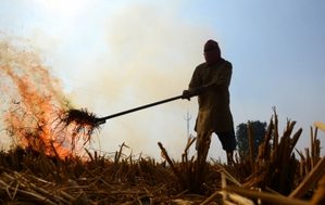 Centre doubles penalty for stubble burning amid rising air pollution in Delhi-NCR