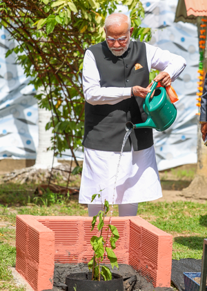 Ek Ped Maa Ke Naam Par 2.0: Deepen efforts towards protecting planet, PM Modi tells nation on World Environment Day