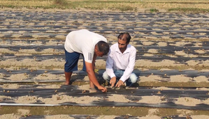 J&K: Villager Ashwini Kumar inspires fellow farmers with strawberry farming
