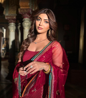 Akanksha Puri feels fortunate to explore different shades in ‘Dons and Darlings’