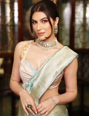 Elnaaz Norouzi misses a wedding where Ranveer Singh performed due to a high fever