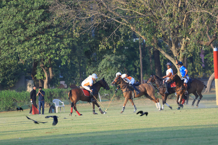Dynamix Achievers defeat Jindal-Carysil to win 8th straight Indian Open Polo Championship at the Jaipur Polo Ground in New Delhi on Sunday. Photo credit: Jindal Steel Indian Open Polo Championship