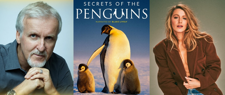 Blake Lively-narrated, James Cameron-backed ‘Secrets of the Penguins’ to tell unprecedented wildlife story