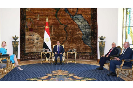 Egypt, Slovenia reject displacing Gazans, back Palestinian statehood for peace