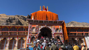 Char Dham Yatra: 8,000 animals set to tackle Himalayan trails for pilgrims