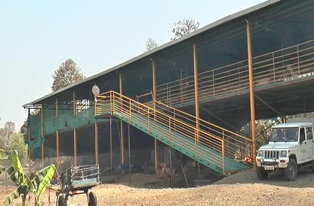 National Livestock Mission sparks rural innovation: MP youth leads the way