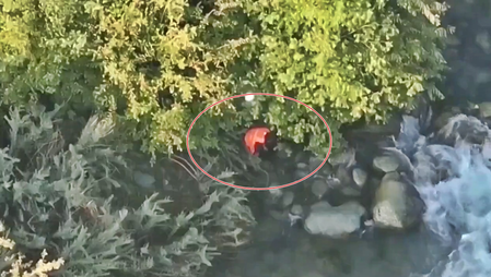 Kulgam man jumps into river, drowns; video surfaces as NC, PDP leaders cry foul