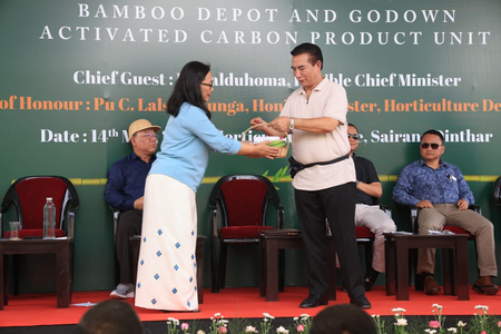 Bamboo can drive Mizoram's economy, generate jobs: CM Lalduhoma