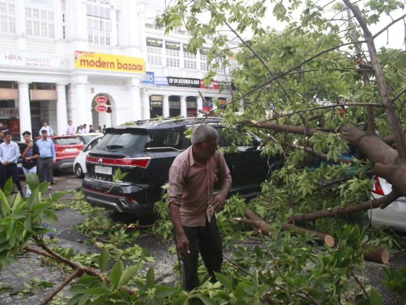 Dust storms, rain lash Delhi-NCR for third day; trees uprooted, infrastructure damaged