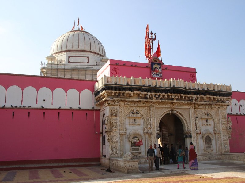 PM Modi to offer prayers at Karni Mata Temple in Rajasthan's Deshnok today, address rally