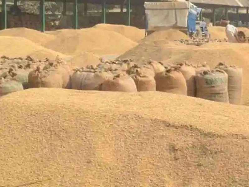 India’s food production surges to record high of 354 million tonnes in 2024-25