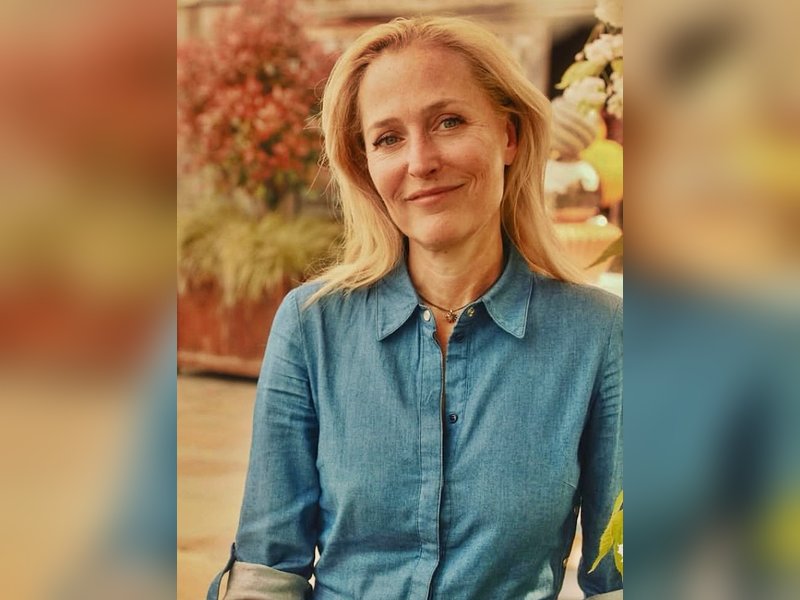 For Gillan Anderson, intimate scenes are never a joy	