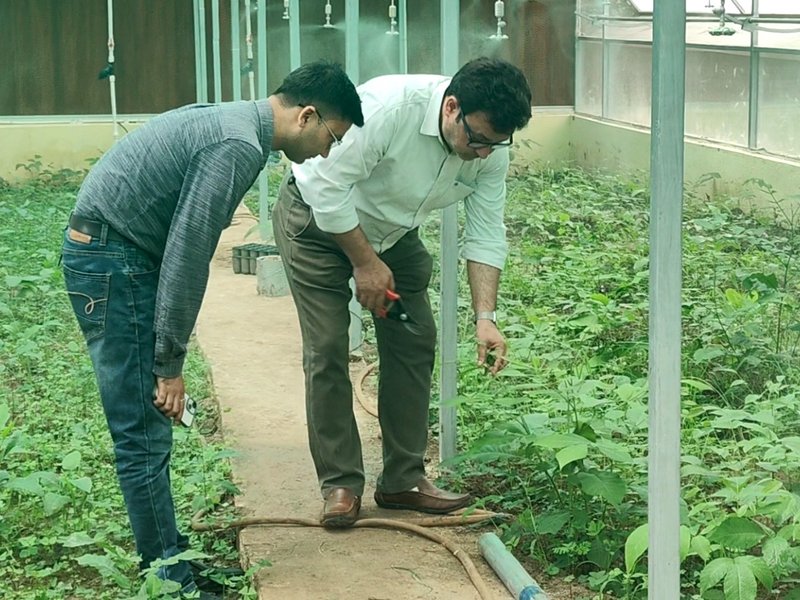 HADP boosts horticulture in J&K’s Poonch, doubling farmers' income