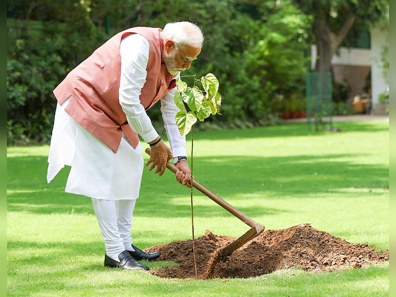 PM Modi launches ‘Aravali Green Wall’ project by planting sapling under Ek Ped Maa Ke Naam initiative