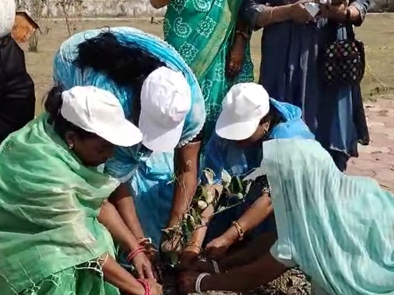 MP: Neemuch women lead environmental movement with support from DAY-NULM