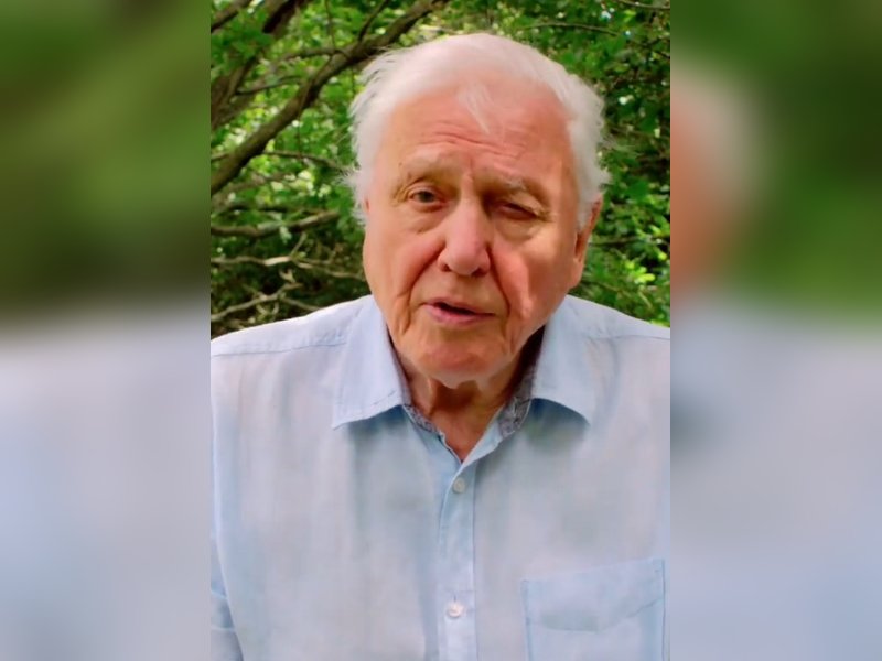 David Attenborough, Prince William discuss enigma of oceans, urgent need for safeguarding oceans	