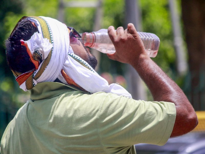 Severe heatwave grips North India; IMD issues alert