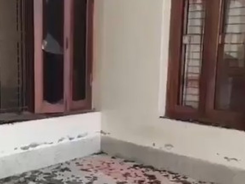 Mamata Banerjee writes to PM Modi on vandalism of Tagore's ancestral property in B'desh