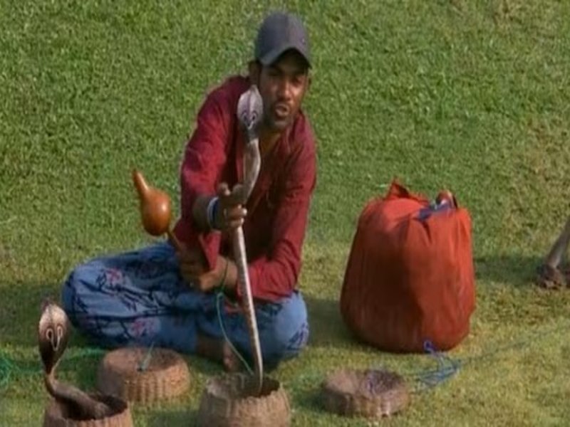 Fan with cobras and monkey in attendance takes ‘Naagin Derby’ to an extreme level on the fifth and final day of the first Test between Sri Lanka and Bangladesh at Galle on Saturday. Photo courtesy X
