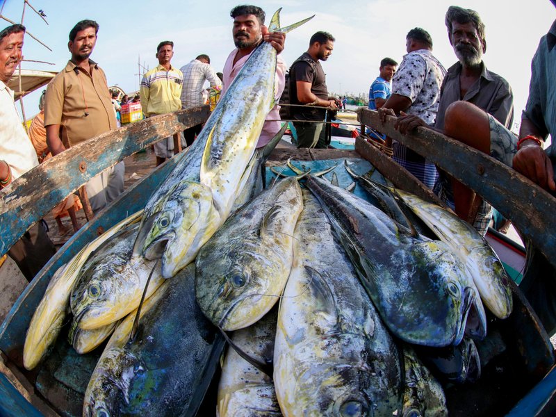 India included in revised EU draft list for continued aquaculture product exports