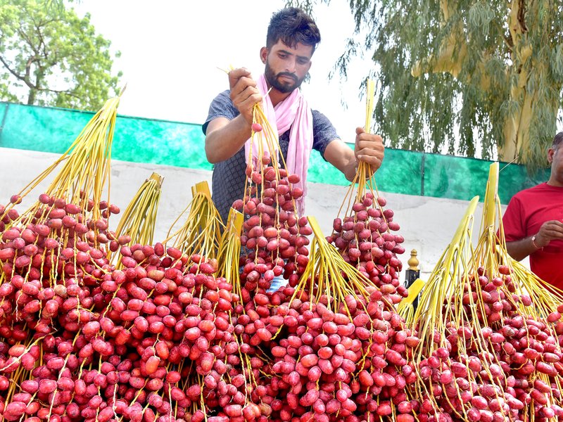 Over 75.5 lakh street vendors avail 112 lakh loans under PM SVANidhi