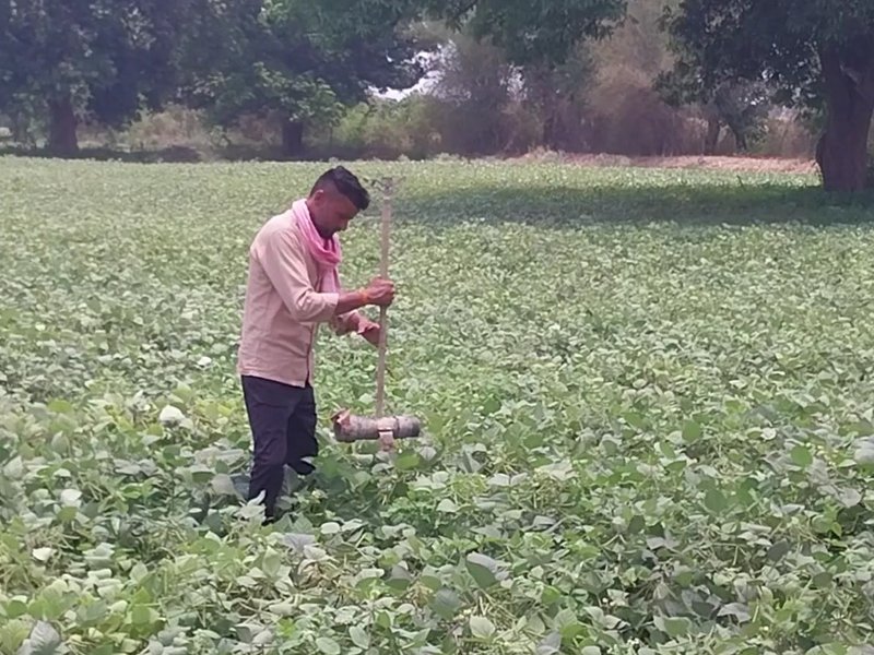 ‘PM‑KISAN Samman Nidhi’ a lifeline for small farmers in Madhya Pradesh’s Harda