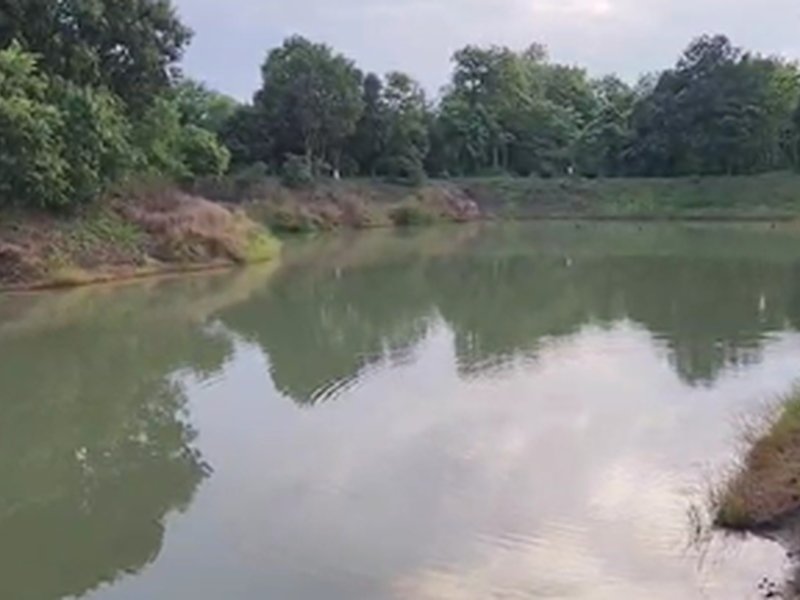 PM Matsya Sampada Yojana yielding rich dividends for fishery businesses in Bihar