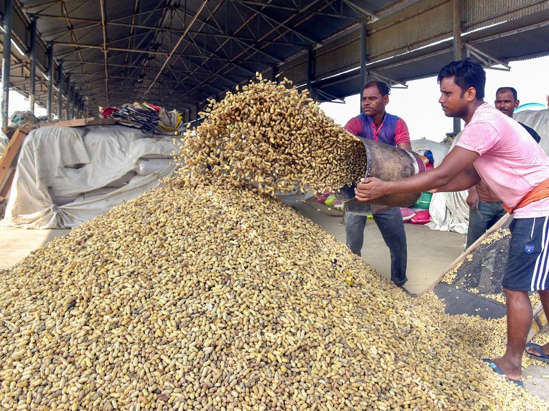 भारत में बेरोजगारी दर दिसंबर में 4.8 प्रतिशत पर रही