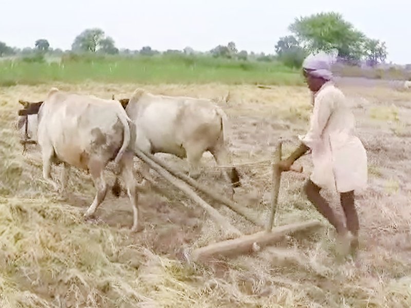 PM KISAN scheme: About 2 lakh farmers draw benefits in MP's Damoh	
