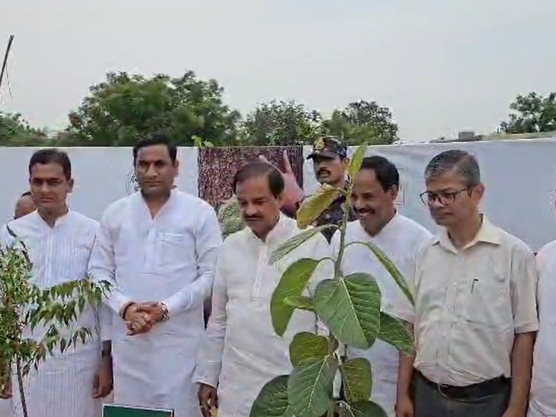 UP ministers lead massive tree plantation drive under 'Ek Ped Maa Ke Naam' campaign