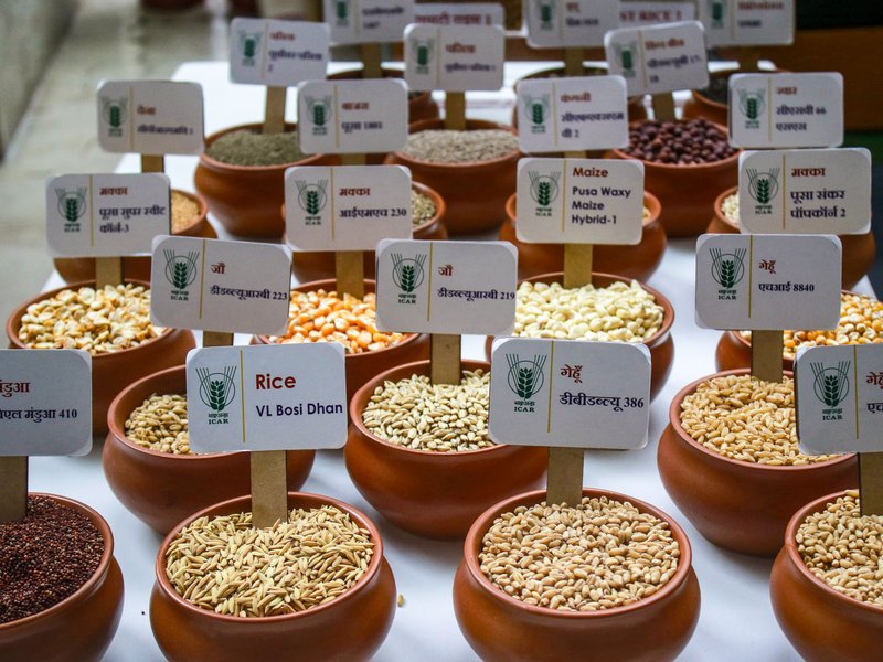 Centre aims to scale up domestic pulses production to 350 lakh tonnes by 2030-31