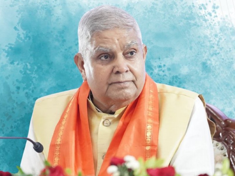 Rajya Sabha to function under Deputy Chairman until VP election: Expert