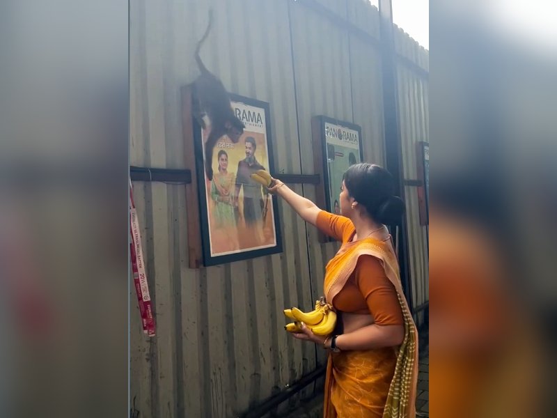 'Mangal Lakshmi' actress Deepika Singh says 'gather knowledge persistently as monkey collect bananas'