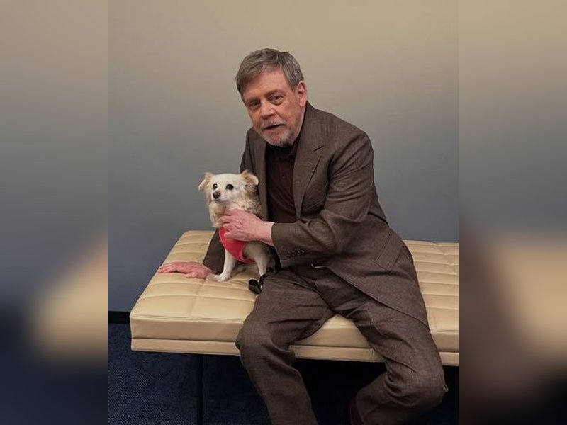 Mark Hamill wished to retire from acting, felt uninspired