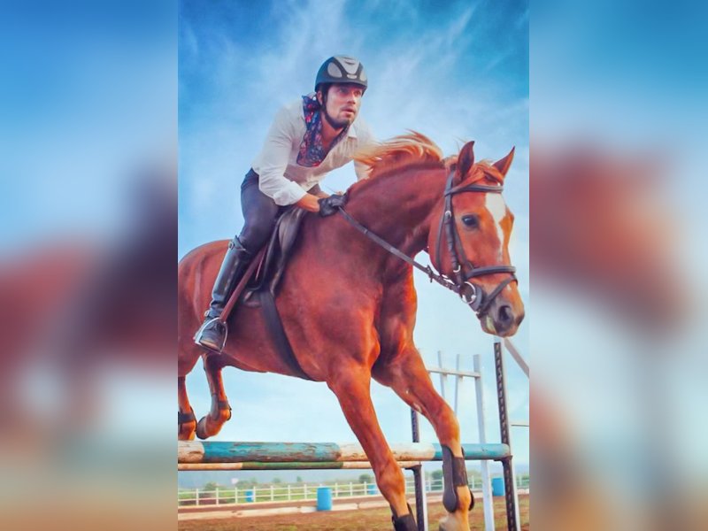 Randeep Hooda pens emotional note for his beloved horse Ranji as he bids adieu