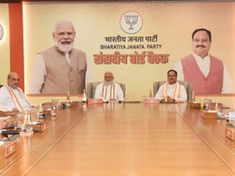 BJP's President elections likely to take place after Vice President poll