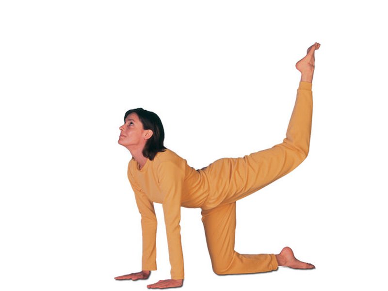 कंप्यूटर के सामने बैठे रहने से हो रही कमर दर्द और पीठ की समस्या, तो व्याघ्रासन से पाएं राहत