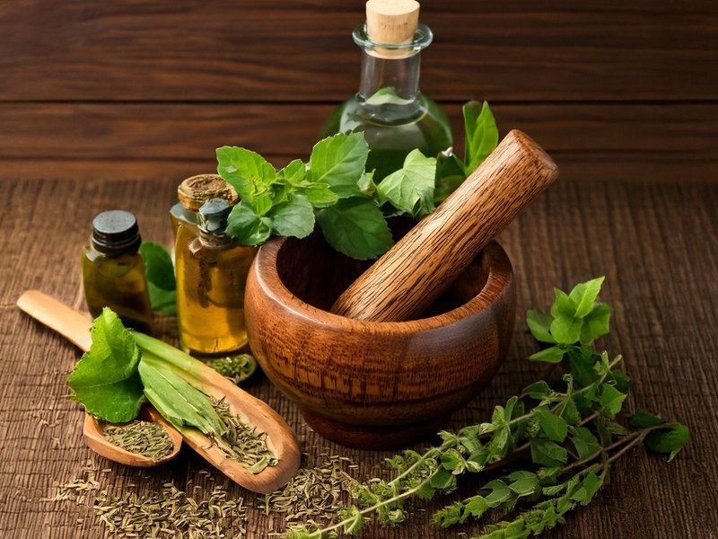 वर्षा ऋतु के अंतिम चरण में बढ़ रहे स्वास्थ्य जोखिम, आयुर्वेदिक उपायों से पाएं राहत