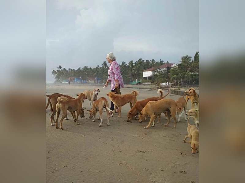 Nafisa Ali: SC’s decision to rid Delhi roads of dogs is totally devastating
