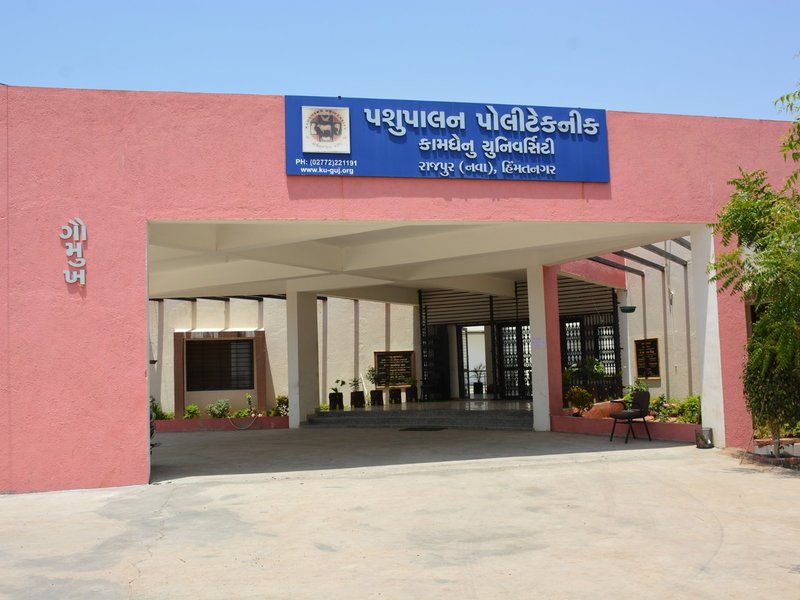 Gujarat to get 5th veterinary college in Himatnagar, admissions from next month