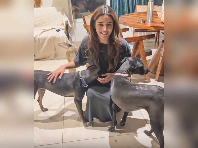 Wamiqa Gabbi raises voice for the freedom of stray dogs this Independence Day